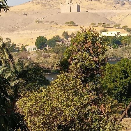 Freedom Nubian Guest House アスワン エクステリア 写真