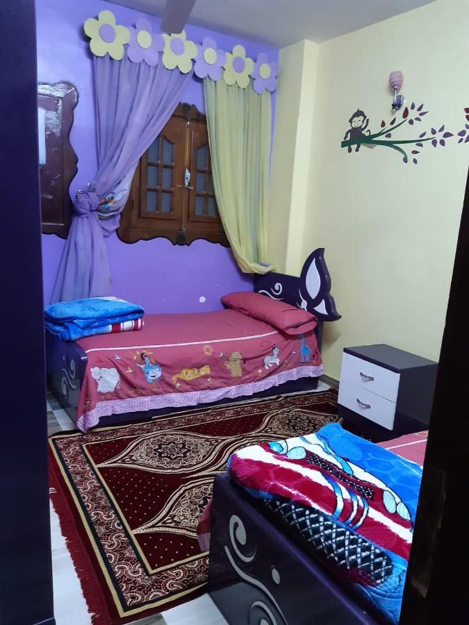 Freedom Nubian Guest House アスワン エクステリア 写真